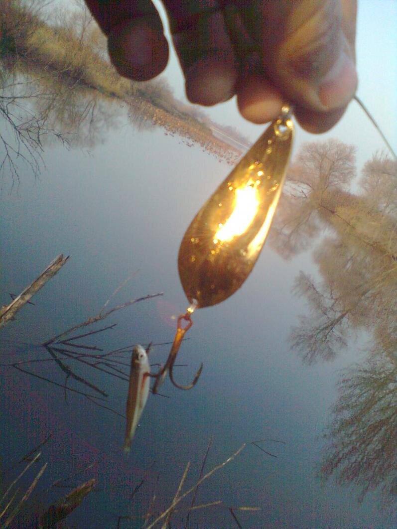 Блесна и воблеры