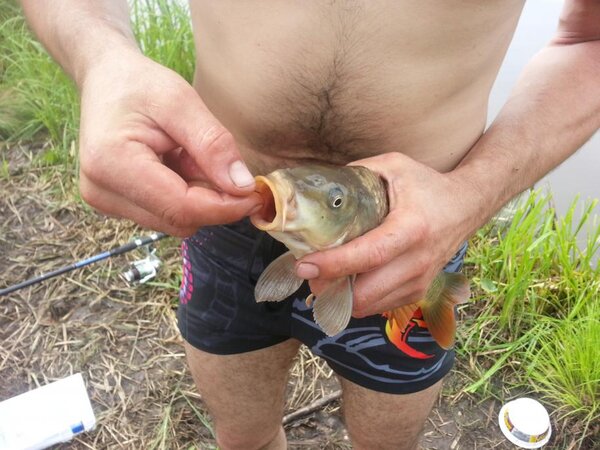 сазанчик 1,200