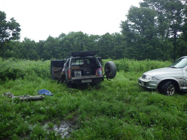 Приморские джунгли, на подступах к змею.