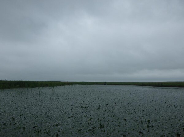 Змеевое эльдорадо.