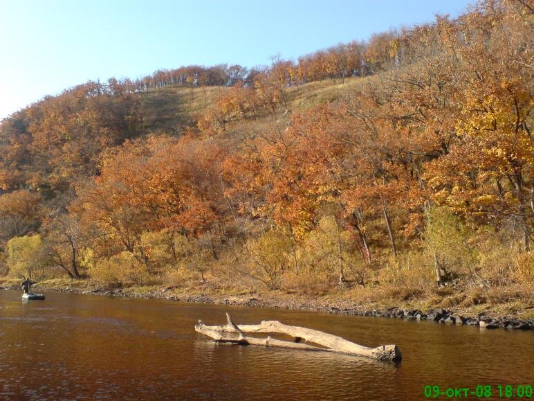 Моменты жизни