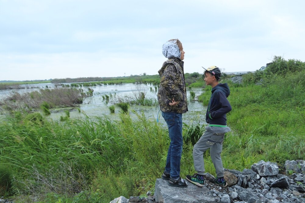 Подрастающее п
.JPG