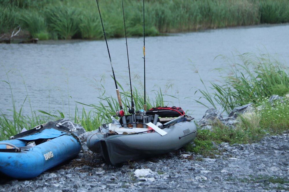 Пепелац змееха
.JPG