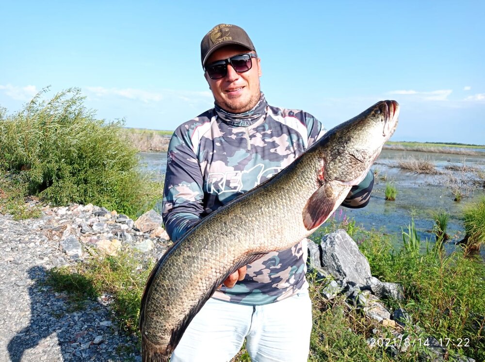 WhatsApp Image 2021-08-16 at 06.51.37 (1).jpeg