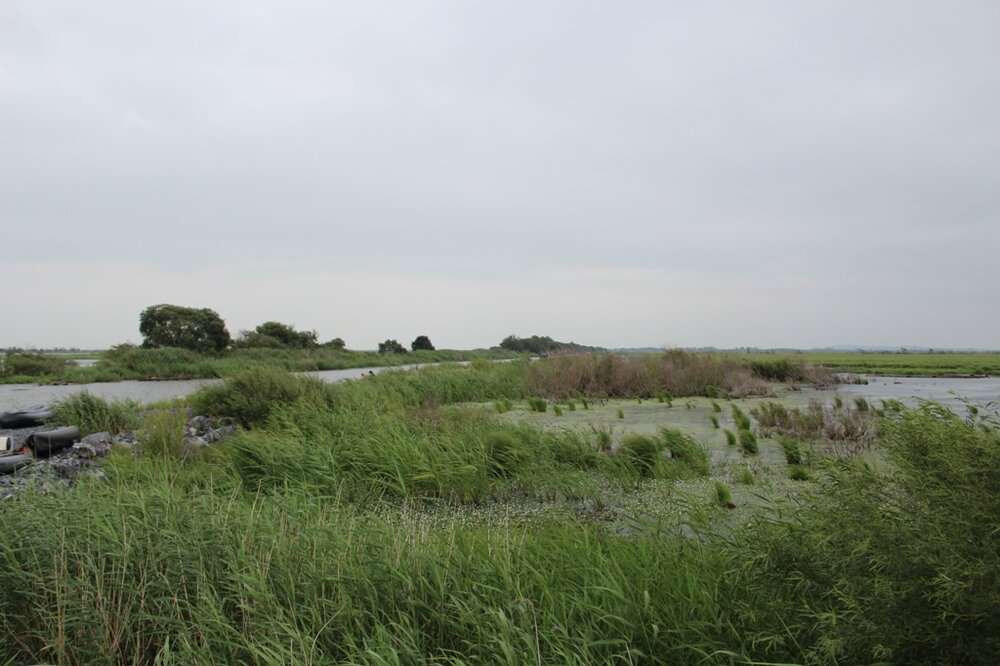 Виды на акватор.JPG