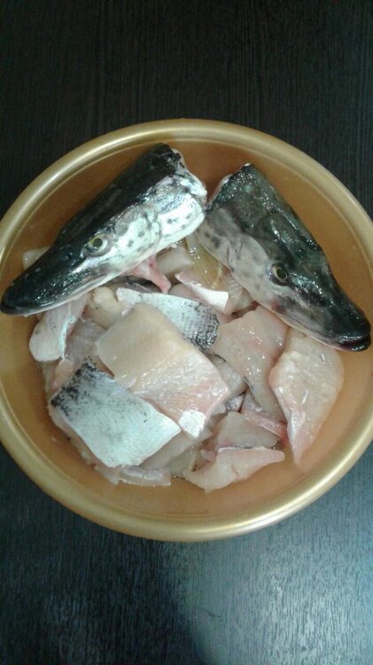 WhatsApp Image 2017-10-02 at 11.48.56.jpg