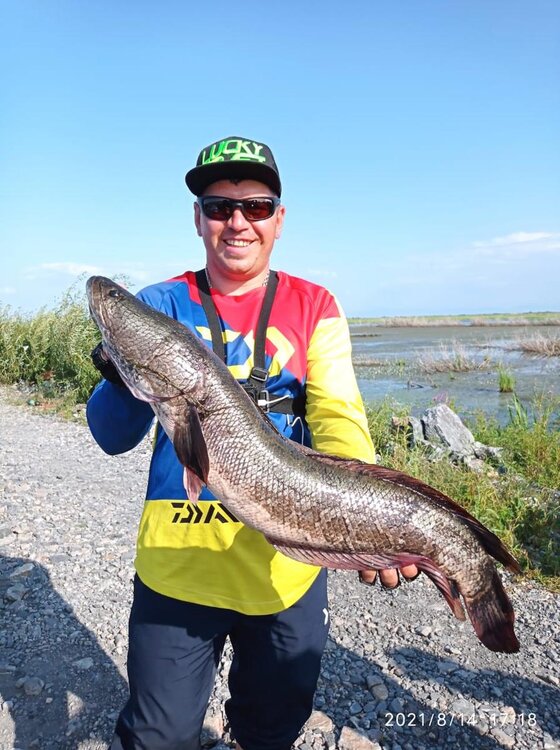 WhatsApp Image 2021-08-16 at 06.51.38 (1).jpg