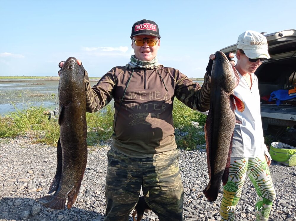 WhatsApp Image 2021-08-16 at 06.51.40 (1).jpeg