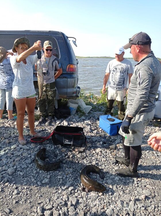 WhatsApp Image 2021-08-16 at 06.51.35.jpg