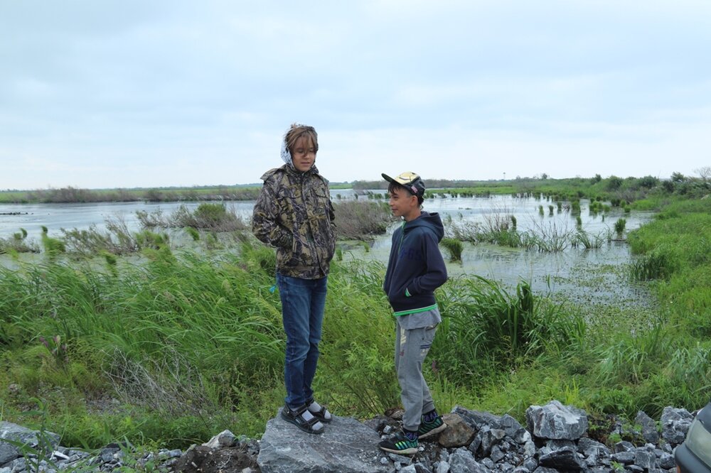 Подрастающее п
.JPG