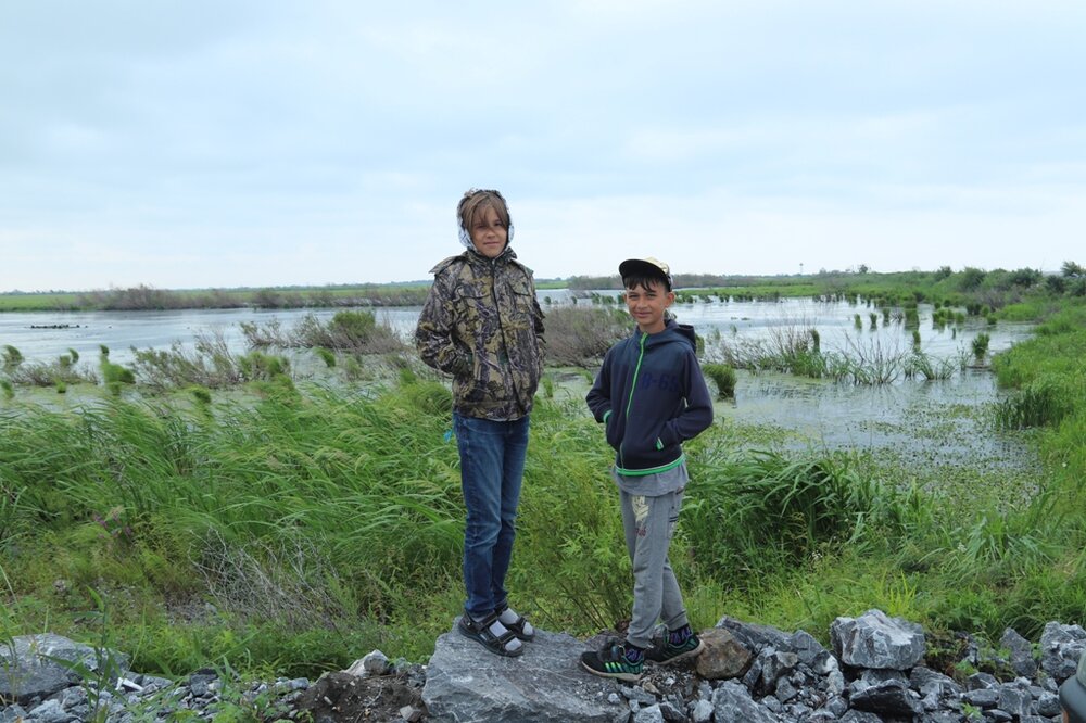 Подрастающее п
.JPG