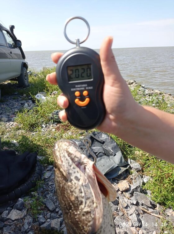 WhatsApp Image 2021-08-16 at 06.52.34.jpg