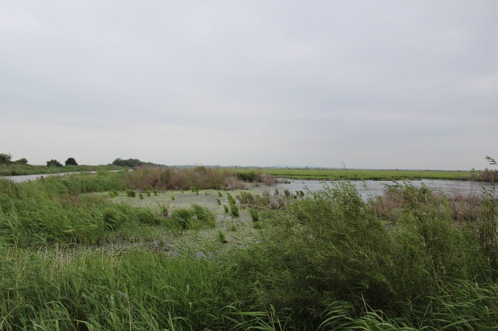 Виды на акватор.JPG