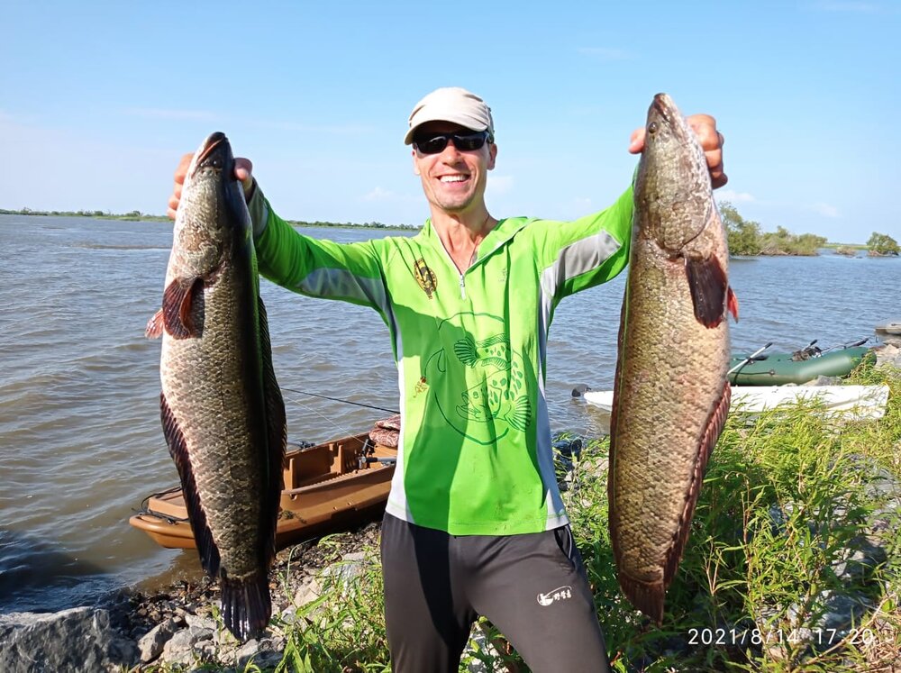 WhatsApp Image 2021-08-16 at 06.51.38.jpeg