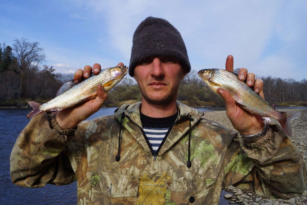 харьковый дупл
.JPG