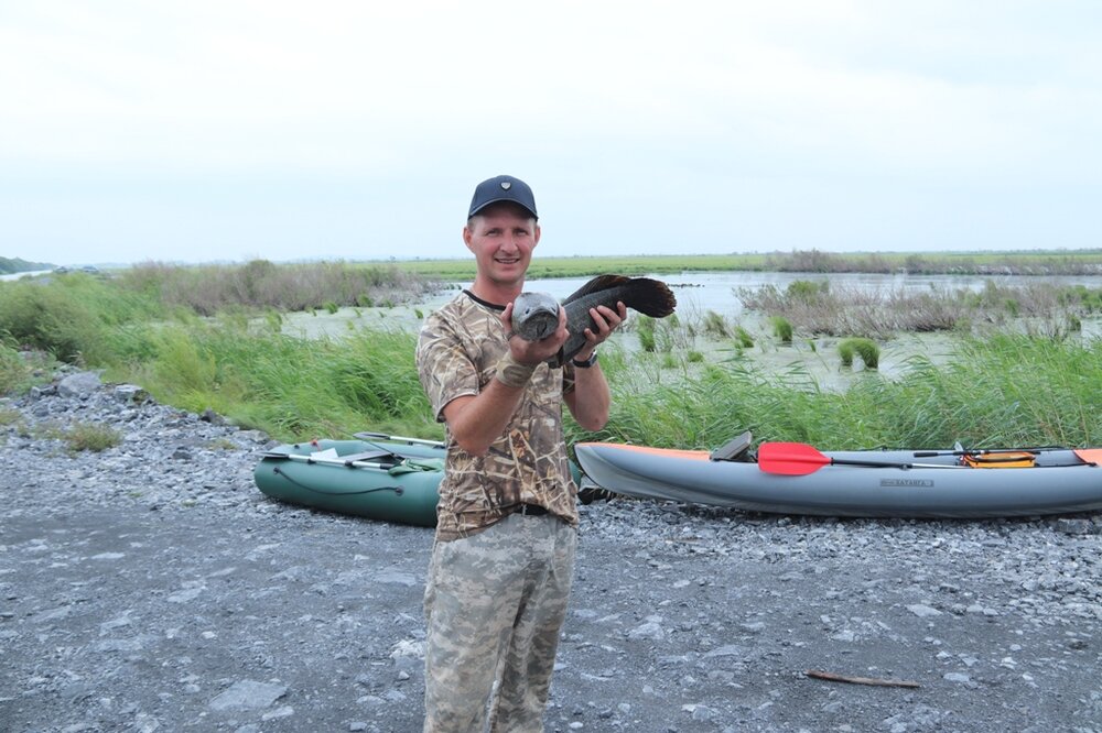 Змей Царенко 3300.JPG