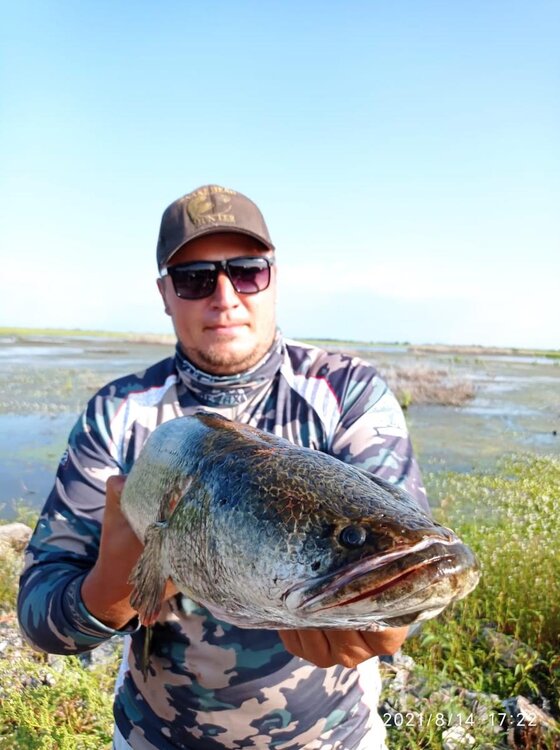 WhatsApp Image 2021-08-16 at 06.51.36 (1).jpg