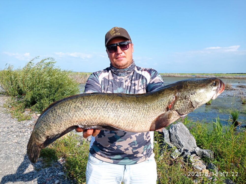 WhatsApp Image 2021-08-16 at 06.51.37.jpeg