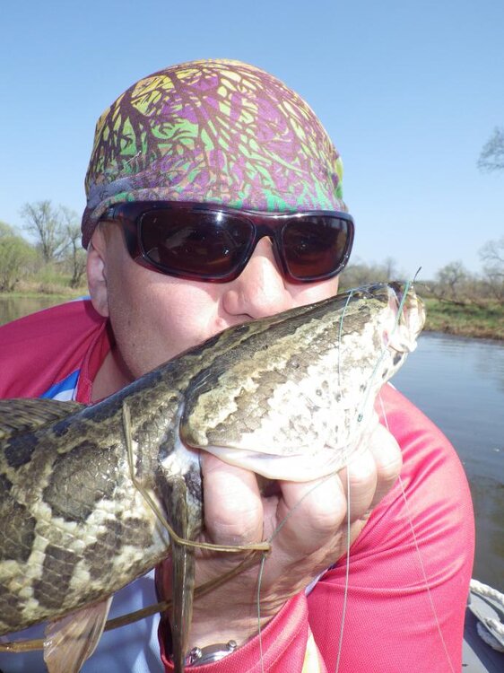 Змееголов-сезон 2014