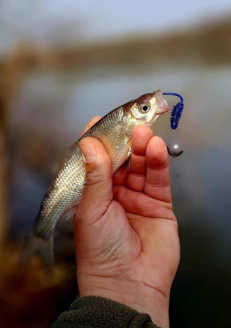 Да здравствует сезон 2025