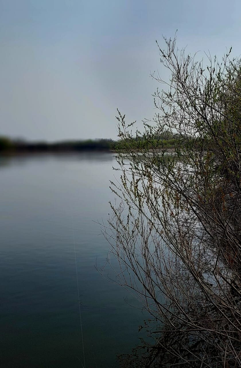 Изображение WhatsApp 2025-05-01 в 12.25.05_540b1f33.jpg