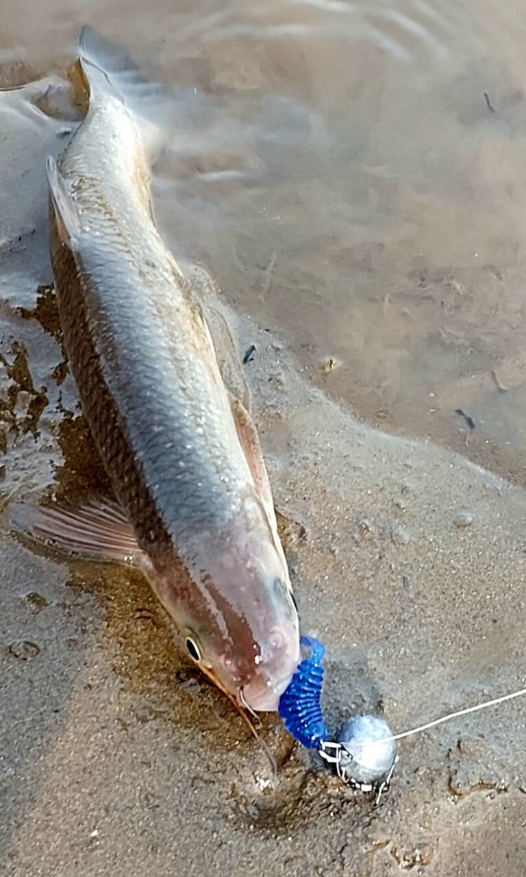 Изображение WhatsApp 2025-05-01 в 12.25.05_fcc79f41.jpg