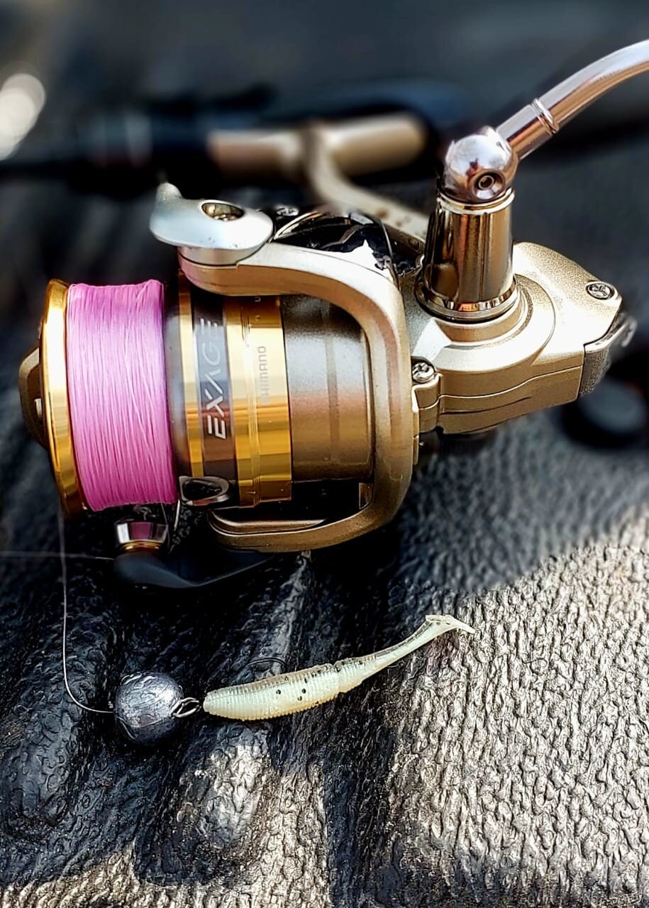 Изображение WhatsApp 2025-05-01 в 12.25.06_6011bd1d.jpg