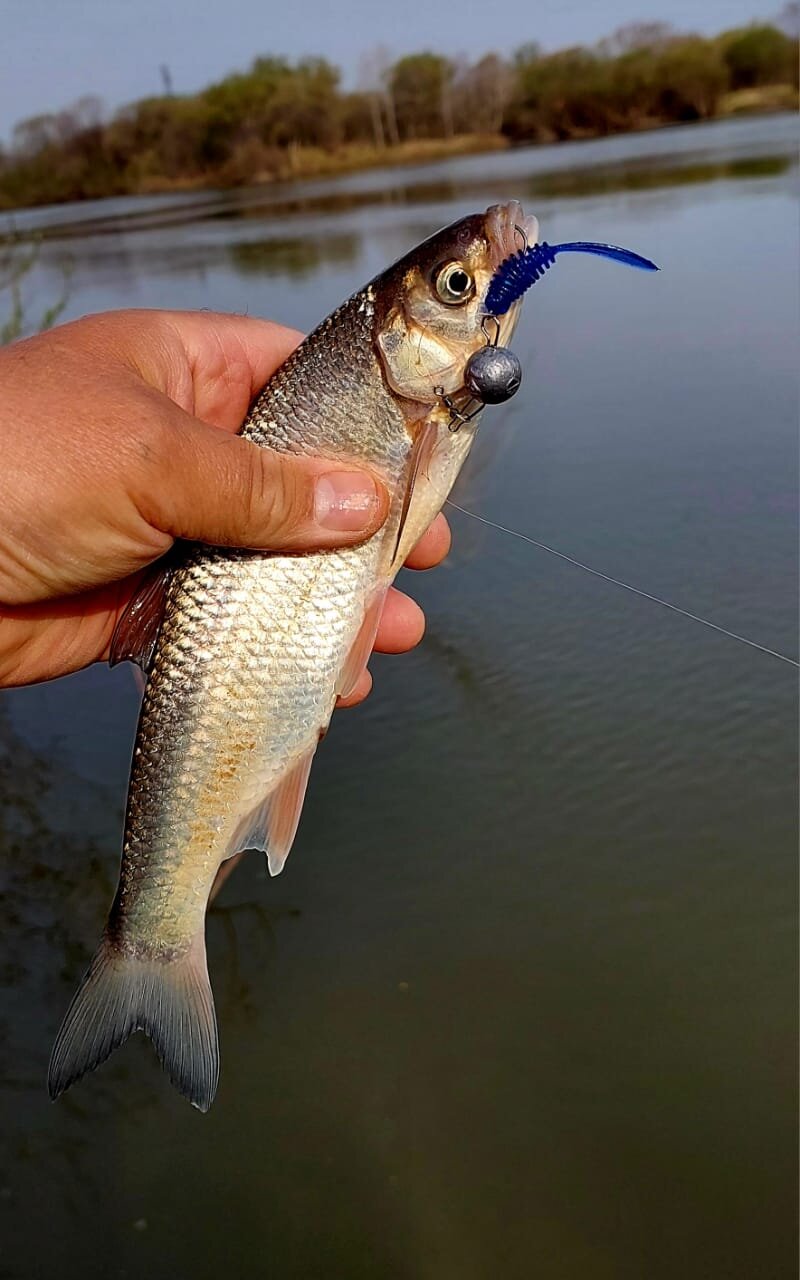 Изображение WhatsApp 2025-05-01 в 12.25.07_28a32f70.jpg