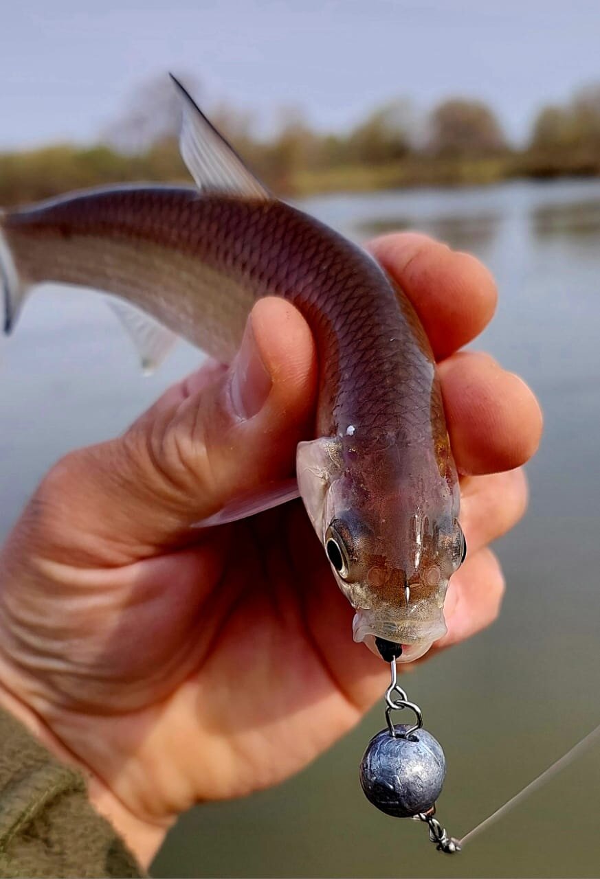 Изображение WhatsApp 2025-05-01 в 12.25.07_6d07ea42.jpg