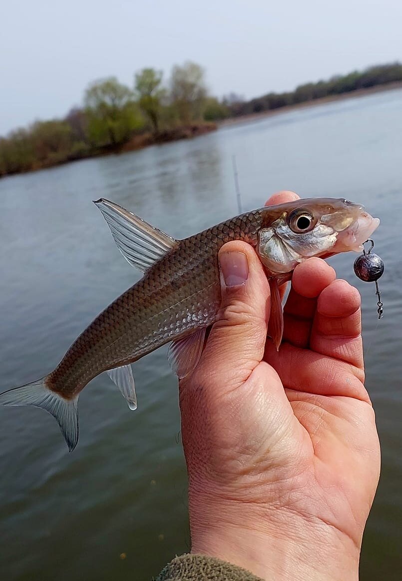 Изображение WhatsApp 2025-05-01 в 12.25.07_d3713029.jpg