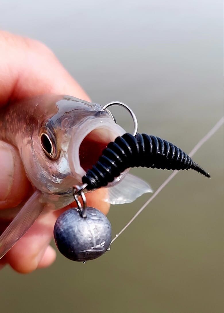 Изображение WhatsApp 2025-05-01 в 12.25.08_0ce836d1.jpg