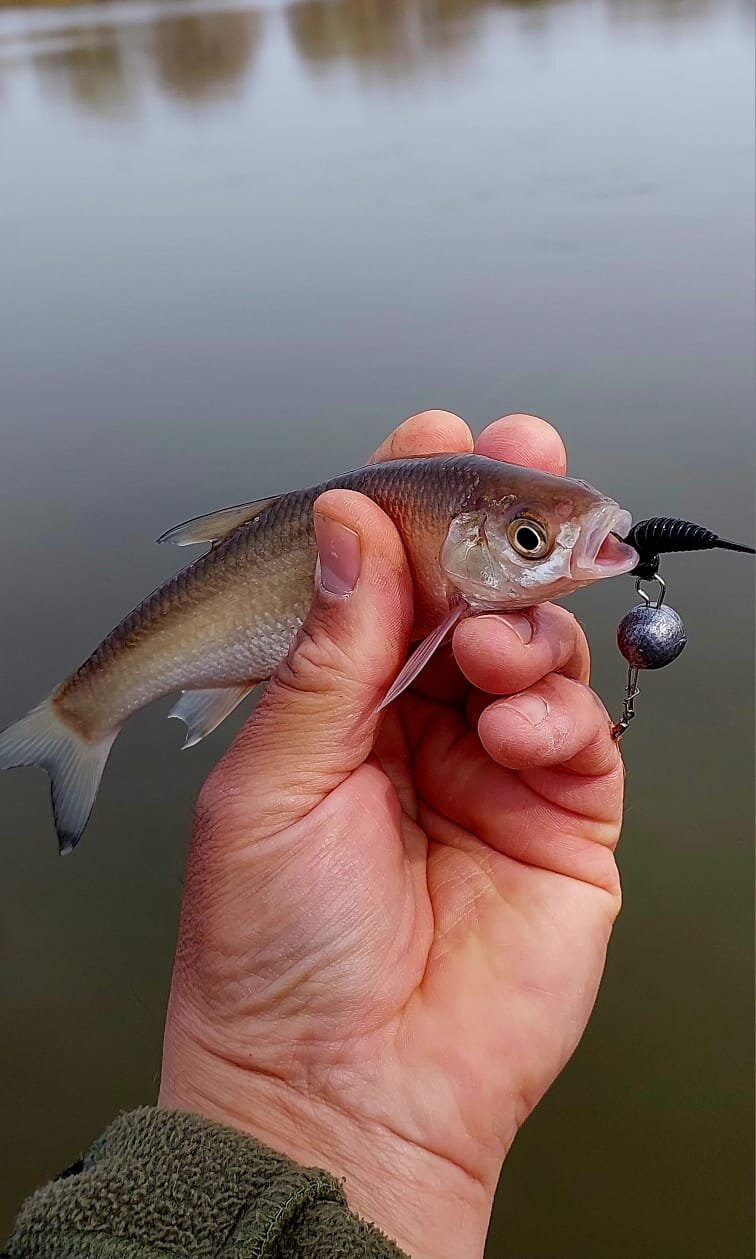 Изображение WhatsApp 2025-05-01 в 12.25.09_e72a16ff.jpg