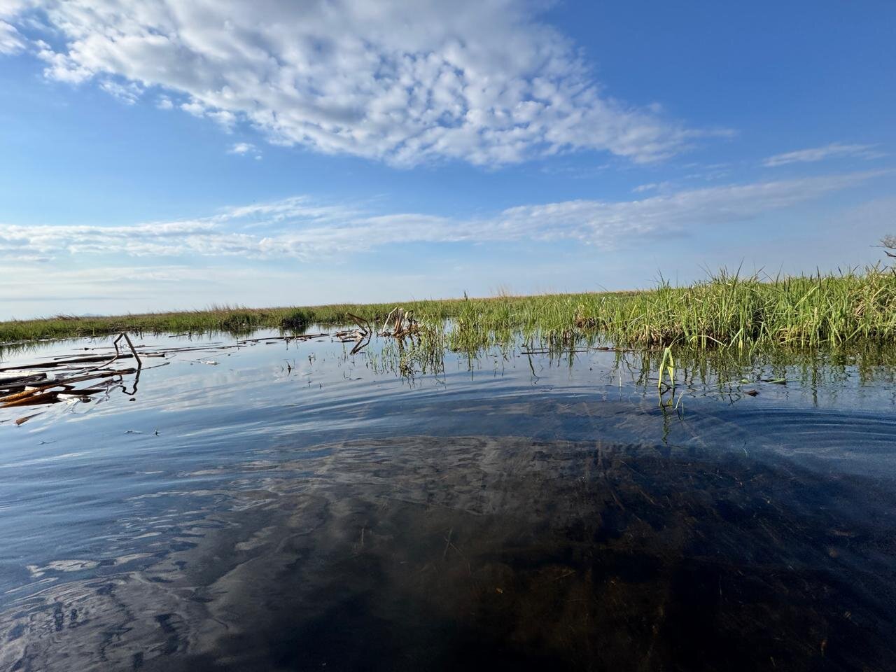 Да здравствует сезон 2025