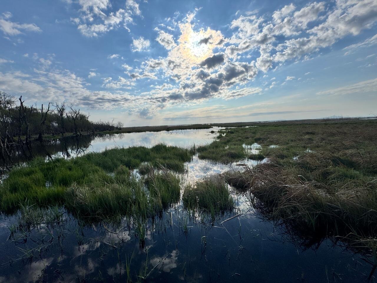 Изображение WhatsApp 2025-05-05 в 10.36.38_b6df96db.jpg