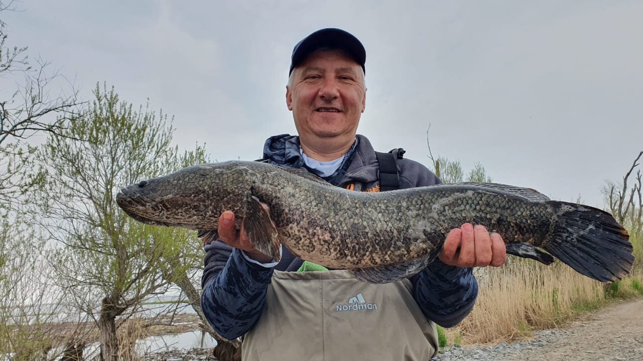 Изображение WhatsApp 2025-05-09 в 20.04.56_21d7db85.jpg