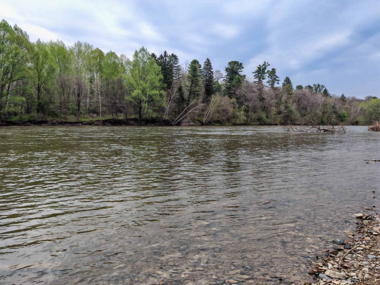 Изображение WhatsApp 2025-05-14 в 06.36.13_5419ac00.jpg