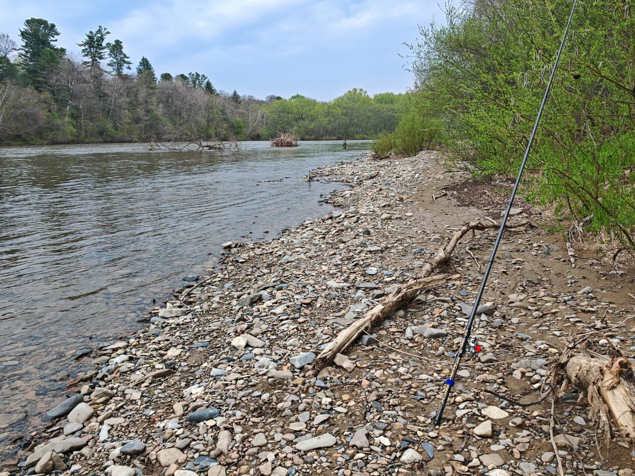 Изображение WhatsApp 2025-05-14 в 06.43.36_7fa65536.jpg