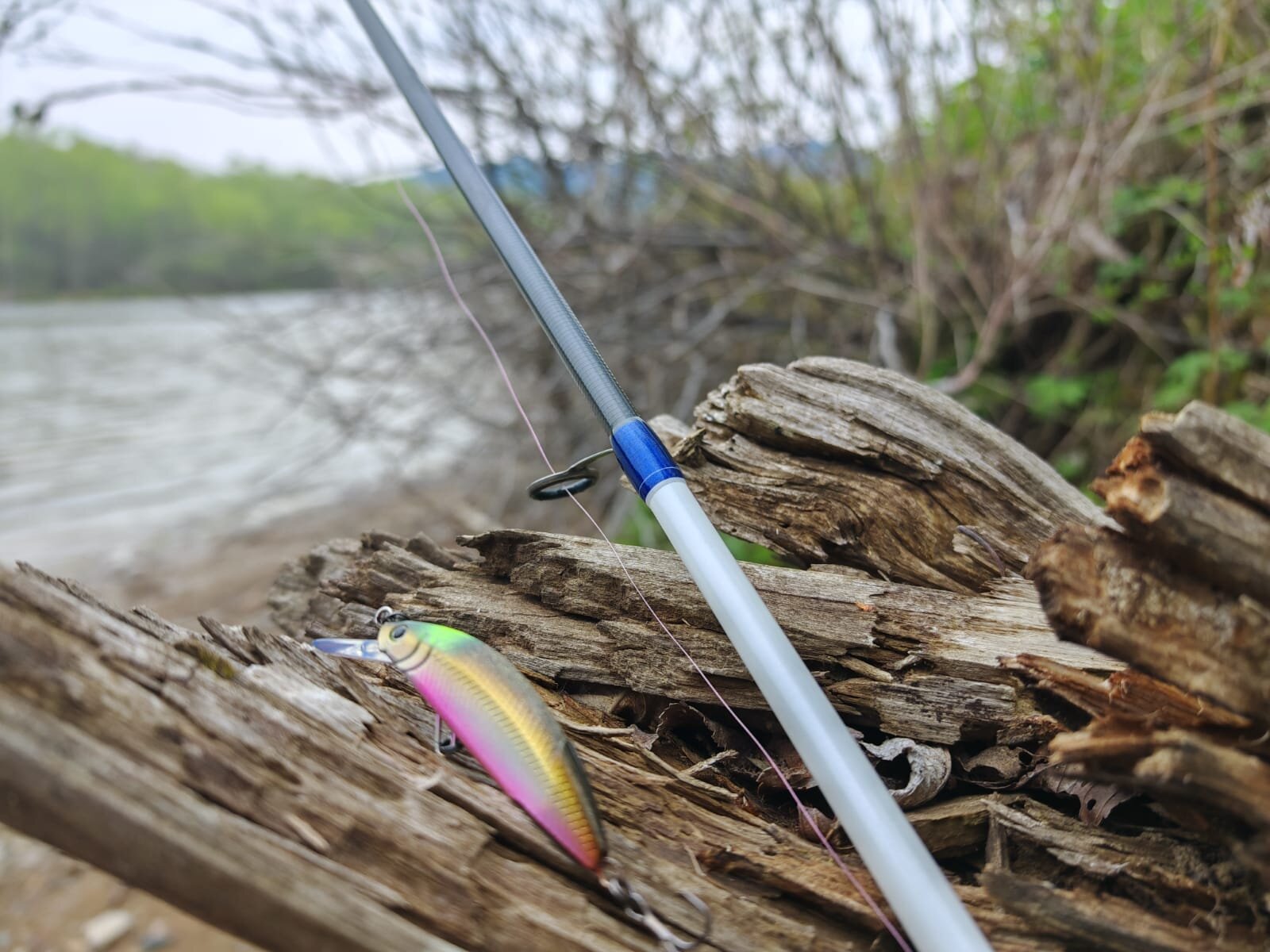 Изображение WhatsApp 2025-05-14 в 06.43.43_932d3a99 .jpg