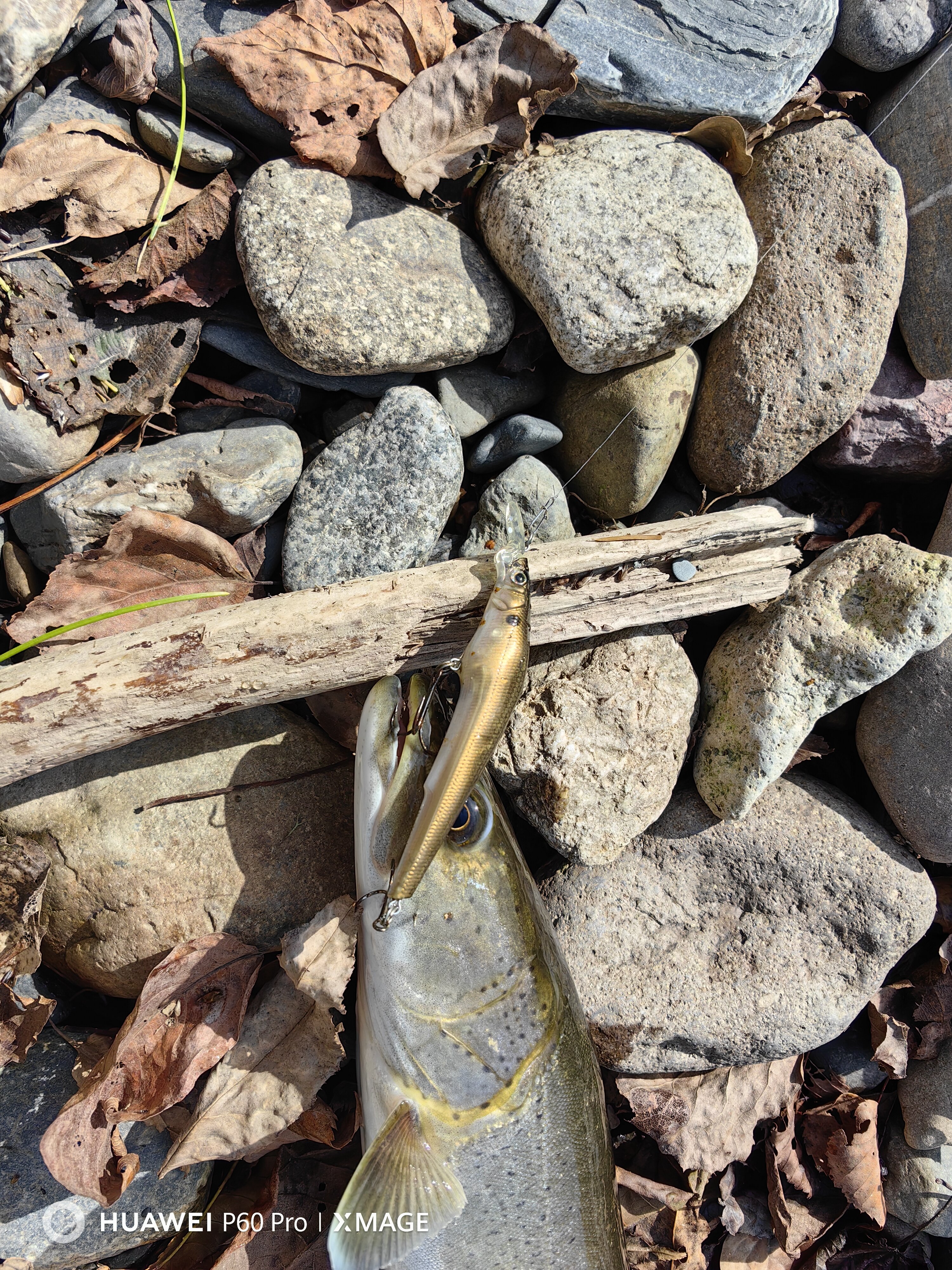 Осенняя рыбалка.