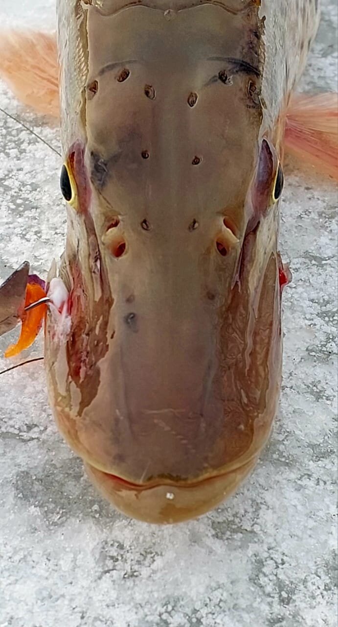 WhatsApp Image 2025-11-22 at 18.23.38 (1).jpeg