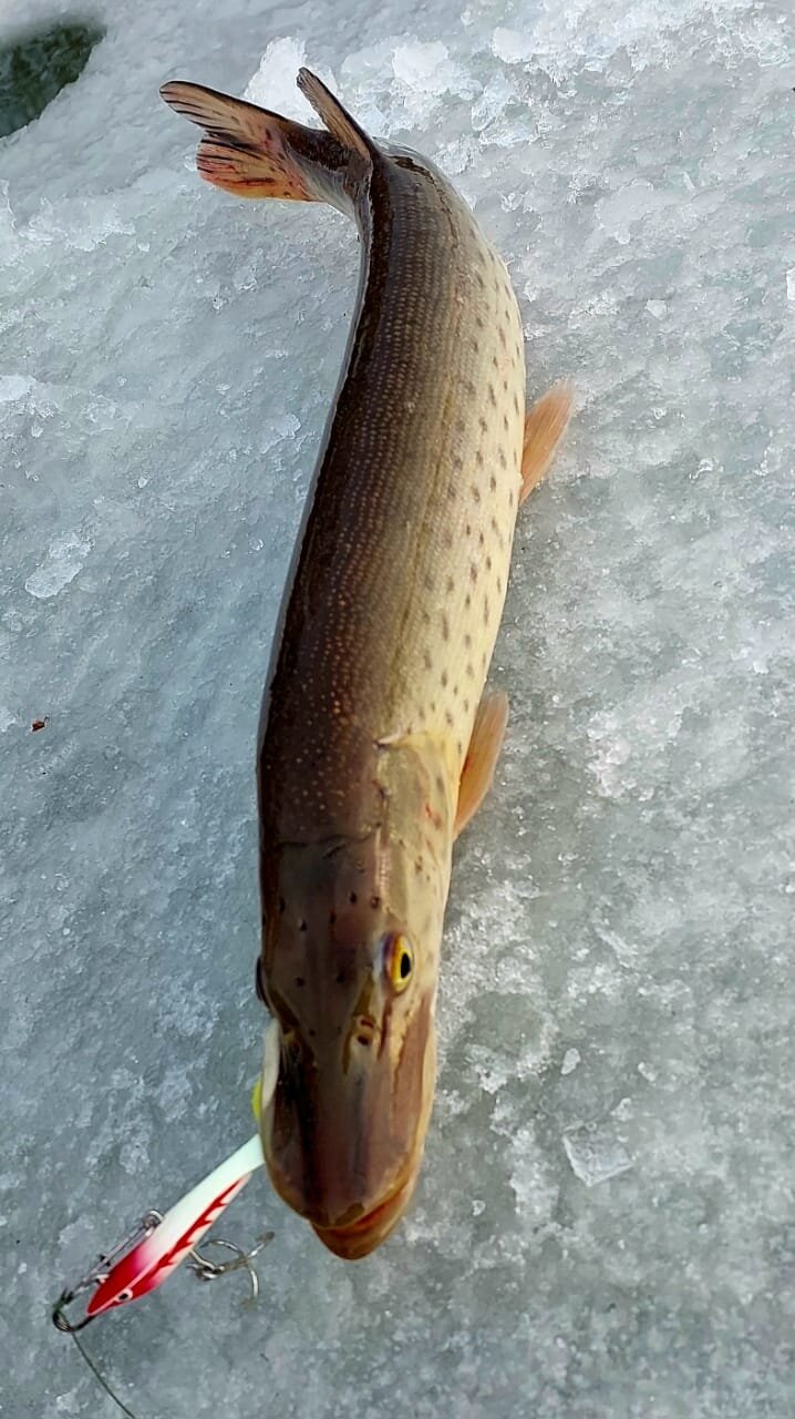 WhatsApp Image 2025-11-22 at 18.23.47 (1).jpeg