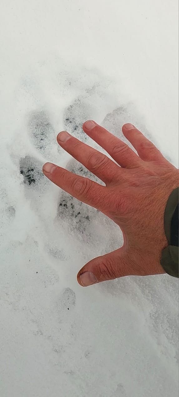 WhatsApp Image 2025-11-22 at 18.23.48 (1).jpeg