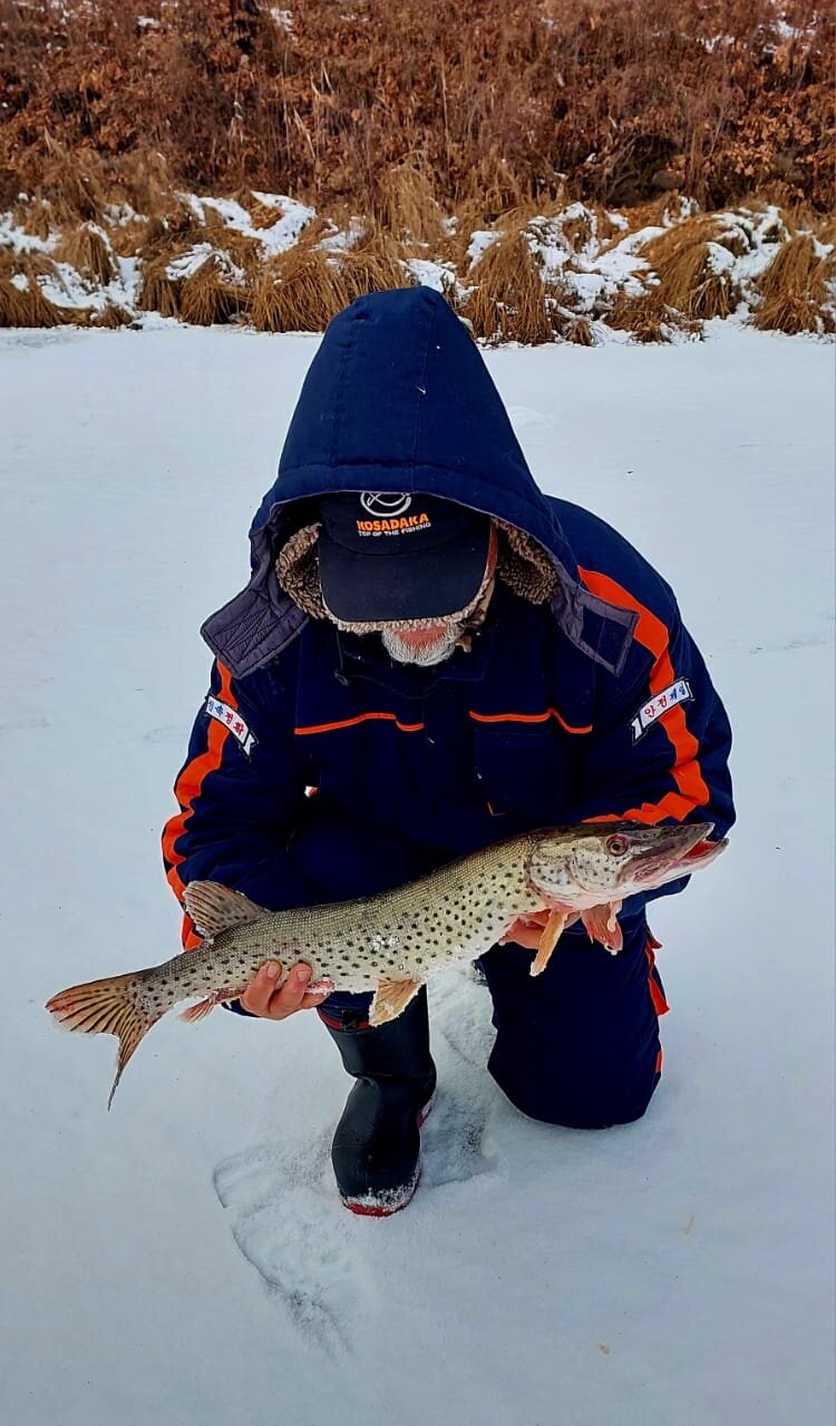 WhatsApp Image 2025-11-22 at 18.23.51 (1).jpeg