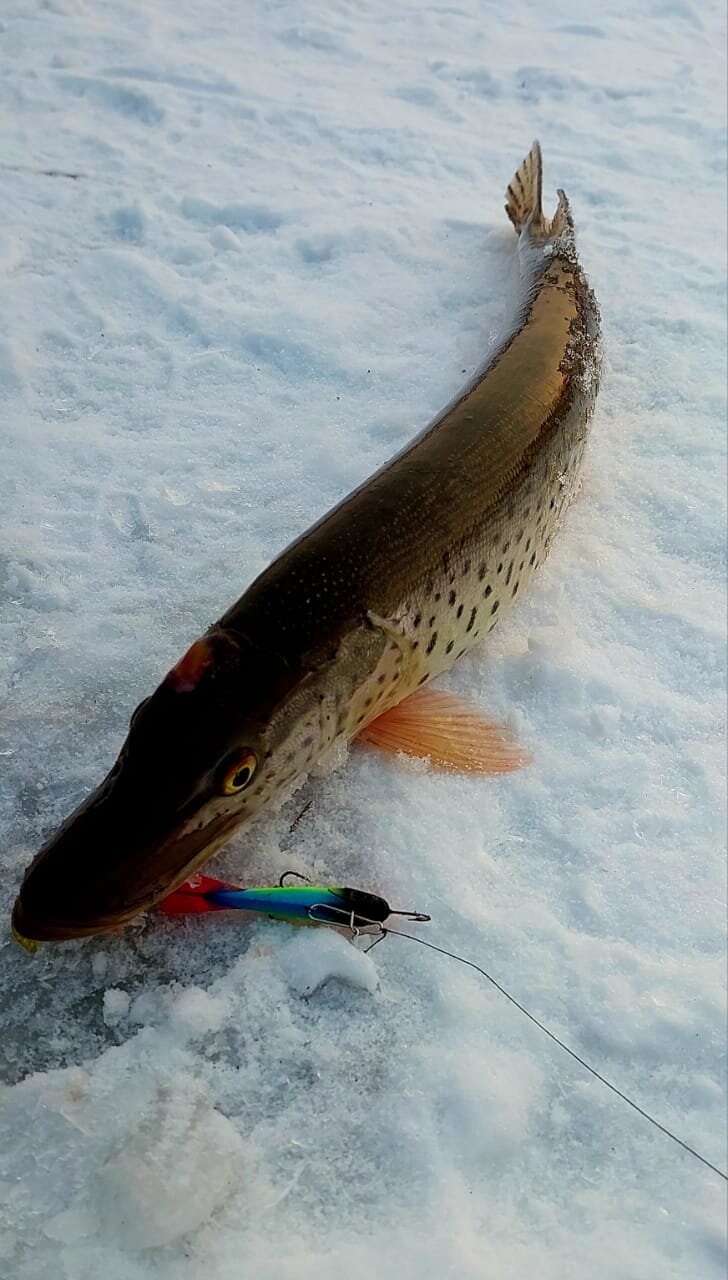 WhatsApp Image 2025-11-22 at 18.23.36.jpeg