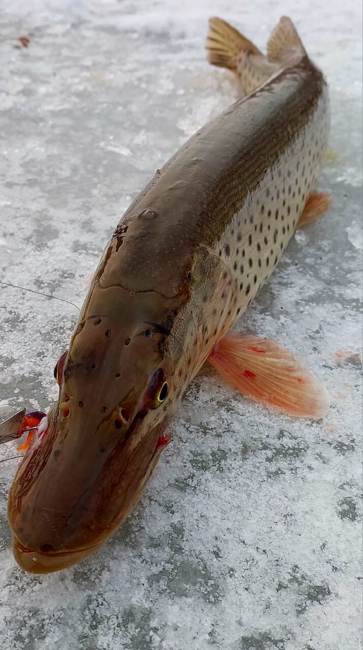 WhatsApp Image 2025-11-22 at 18.23.39.jpeg