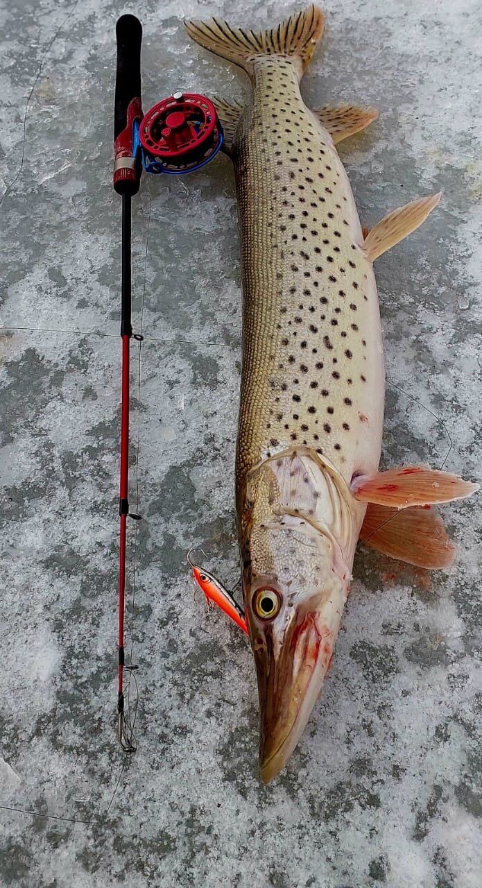 WhatsApp Image 2025-11-22 at 18.23.40.jpeg