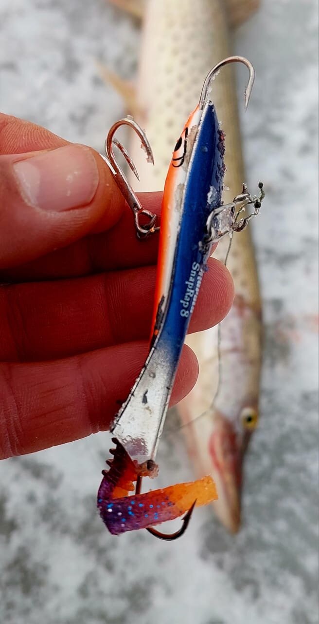 WhatsApp Image 2025-11-22 at 18.23.41.jpeg