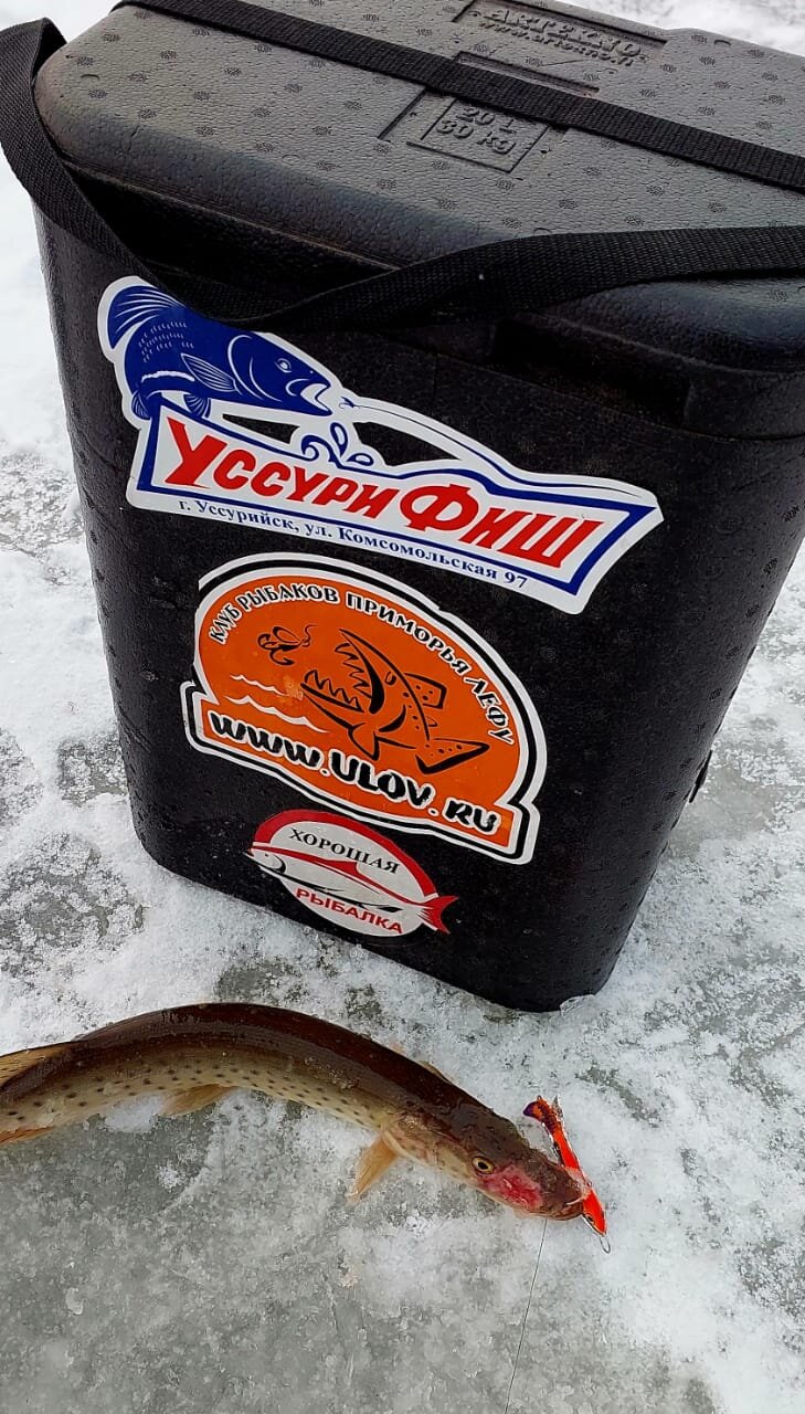 WhatsApp Image 2025-11-22 at 18.23.42.jpeg