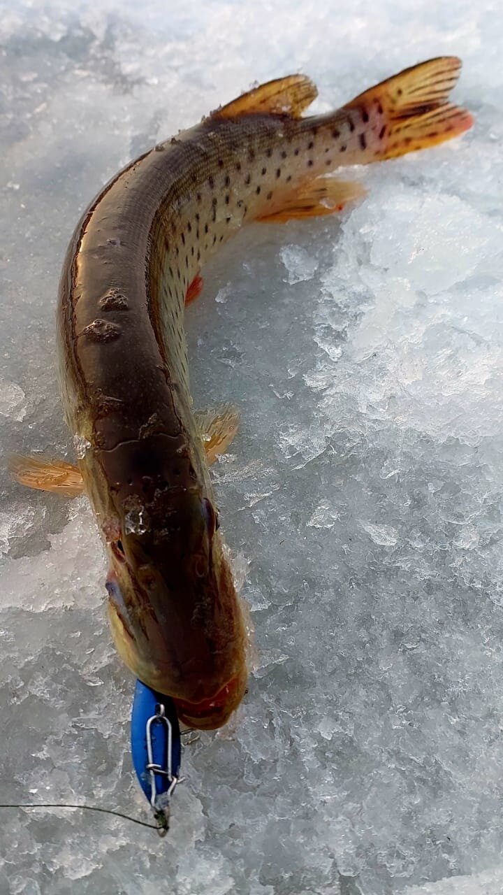 WhatsApp Image 2025-11-22 at 18.23.44.jpeg