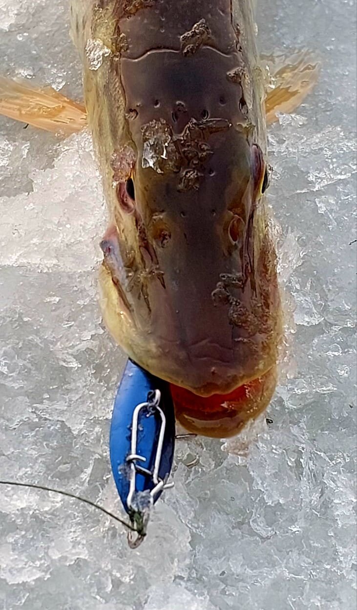 WhatsApp Image 2025-11-22 at 18.23.45.jpeg